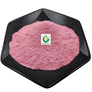 Cranberry Freeze-dried Fruit Powder
