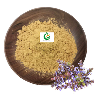 Natural Pure 2% 10% Ajuga Turkestanica Extract Powder Turkesterone